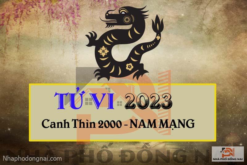 tu-vi-2023-tuoi-canh-thin-2000-nam-mang