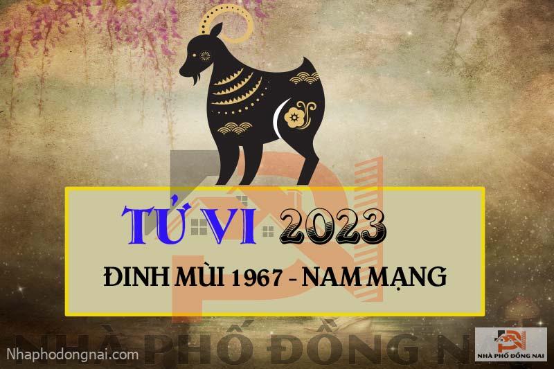 tu-vi-2023-tuoi-dinh-mui-1967-nam-mang