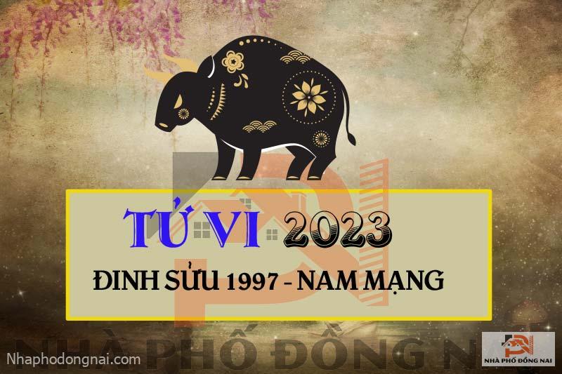 tu-vi-2023-tuoi-dinh-suu-1997-nam-mang