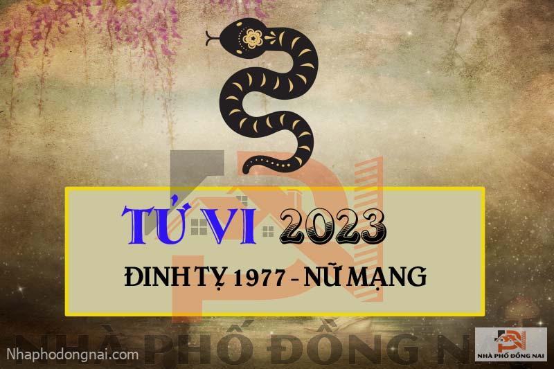 tu-vi-2023-tuoi-dinh-ty-1977-nu-mang