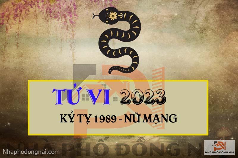 tu-vi-2023-tuoi-ky-ty-1989-nu-mang