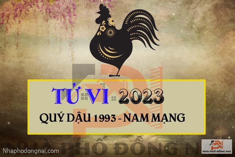 tu-vi-2023-tuoi-quy-dau-1993-nam-mang