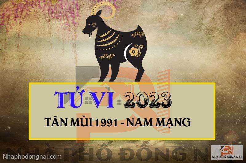 tu-vi-2023-tuoi-tan-mui-1991-nam-mang