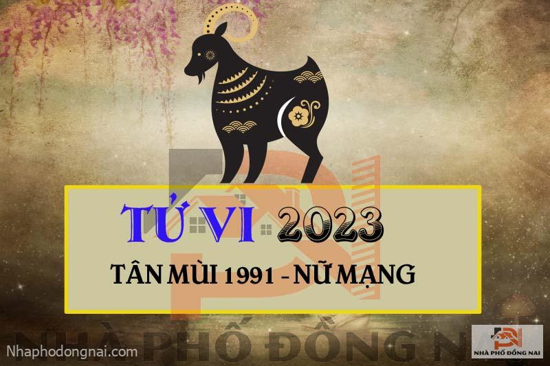 tu-vi-2023-tuoi-tan-mui-1991-nu-mang