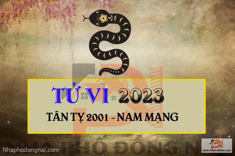tu-vi-2023-tuoi-tan-ty-2001-nam-mang