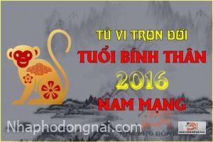 tu-vi-tron-doi-tuoi-binh-than-2016-nam-mang