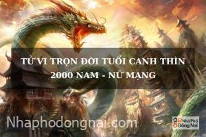tu-vi-tron-doi-tuoi-canh-thin-sinh-nam-2000-nam-nu-mang