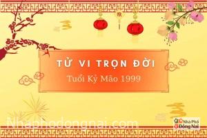 tu-vi-tron-doi-tuoi-ky-mao-1999