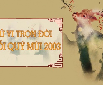 tu-vi-tron-doi-tuoi-quy-mui-2003-nam-nu-mang