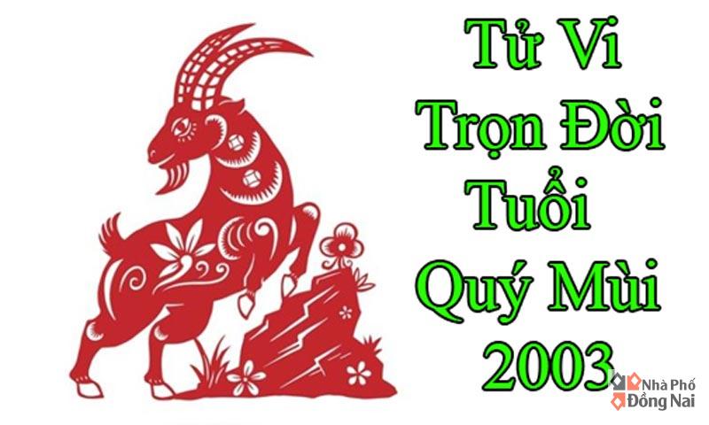 tu-vi-tron-doi-tuoi-quy-mui-2003