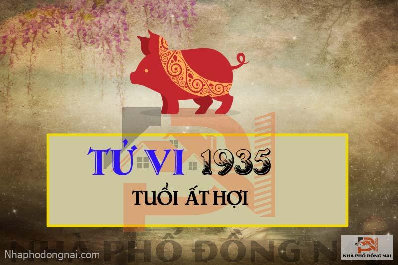 tu-vi-tuoi-1935-at-hoi