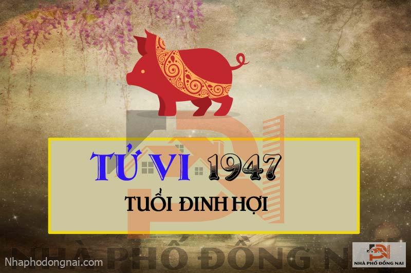tu-vi-tuoi-1947-dinh-hoi