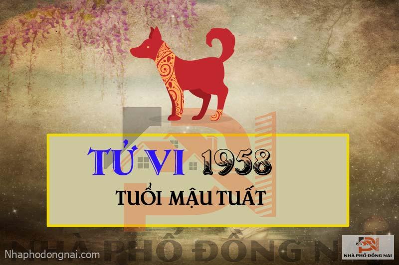 tu-vi-tuoi-1958-mau-tuat