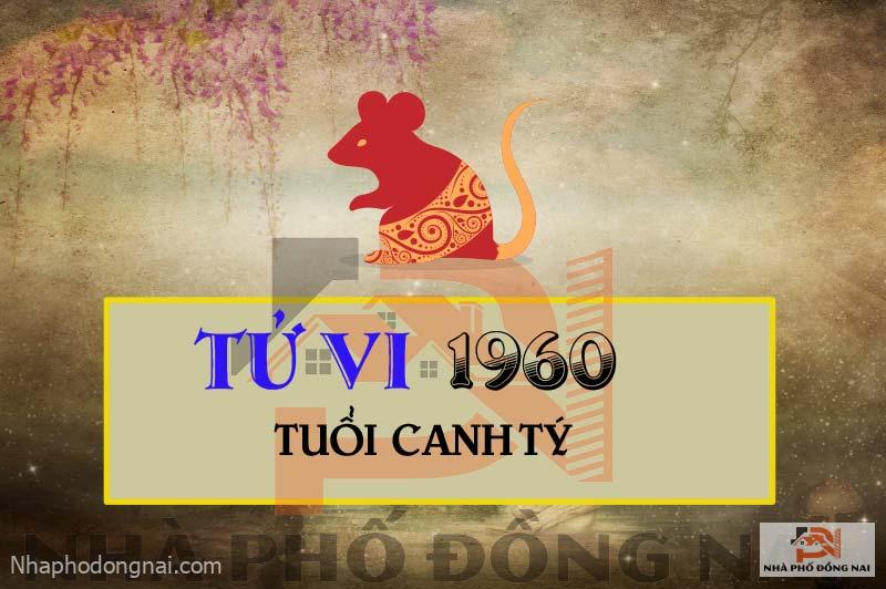 tu-vi-tuoi-1960-canh-ty