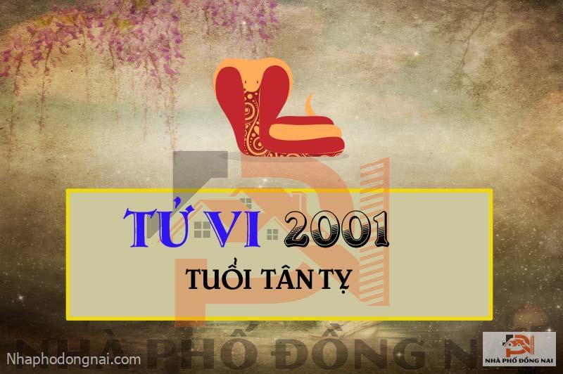 tu-vi-tuoi-2001-tan-ty