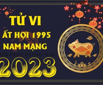 tu-vi-tuoi-at-hoi-1995-nam-2023-nam-mang
