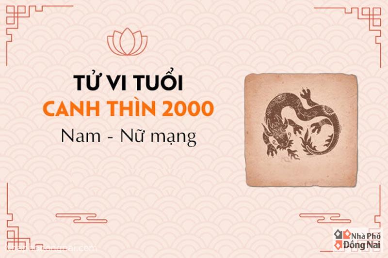 tu-vi-tuoi-canh-thin-2000-nam-nu-mang