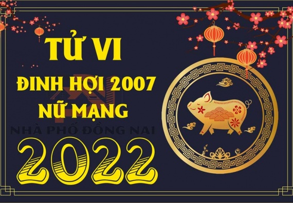 tu-vi-tuoi-dinh-hoi-2007-nam-2022-nu-mang