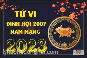 tu-vi-tuoi-dinh-hoi-2007-nam-2023-nam-mang