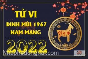 tu-vi-tuoi-dinh-mui-1967-nam-2022-nam-mang