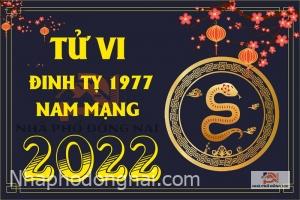 tu-vi-tuoi-dinh-ty-1977-nam-2022-nam-mang