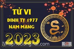tu-vi-tuoi-dinh-ty-1977-nam-2023-nam-mang