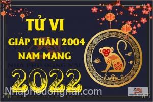 tu-vi-tuoi-giap-than-2004-nam-2022-nam-mang