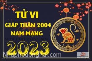 tu-vi-tuoi-giap-than-2004-nam-2023-nam-mang