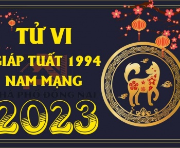 tu-vi-tuoi-giap-tuat-1994-nam-2023-nam-mang