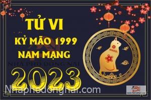 tu-vi-tuoi-ky-mao-1999-nam-2023-nam-mang