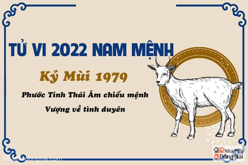 Rất Hay: Xem Tử Vi Tuổi Kỷ Mùi 1979 Năm 2022 Nam Mạng Chi Tiết