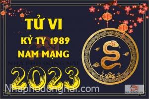 tu-vi-tuoi-ky-ty-1989-nam-2023-nam-mang