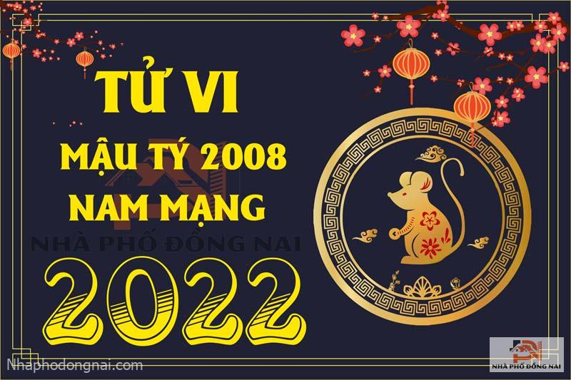 tu-vi-tuoi-mau-ty-2008-nam-2022-nam-mang