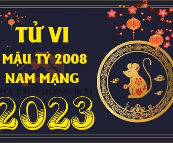 tu-vi-tuoi-mau-ty-2008-nam-2023-nam-mang