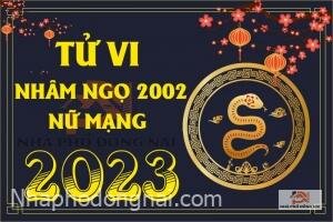 tu-vi-tuoi-nham-ngo-2002-nam-2023-nu-mang