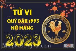 tu-vi-tuoi-quy-dau-1993-nam-2023-nu-mang