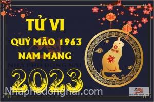 tu-vi-tuoi-quy-mao-1963-nam-2023-nam-mang