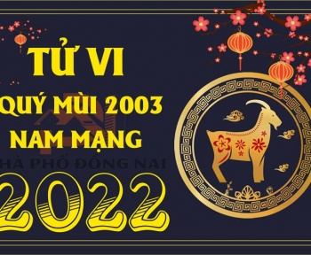 tu-vi-tuoi-quy-mui-2003-nam-2022-nam-mang