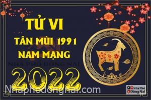 tu-vi-tuoi-tan-mui-1991-nam-2022-nam-mang