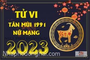 tu-vi-tuoi-tan-mui-1991-nam-2023-nu-mang