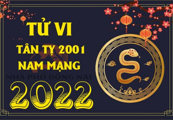 tu-vi-tuoi-tan-ty-2001-nam-2022-nam-mang