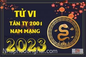 tu-vi-tuoi-tan-ty-2001-nam-2023-nam-mang