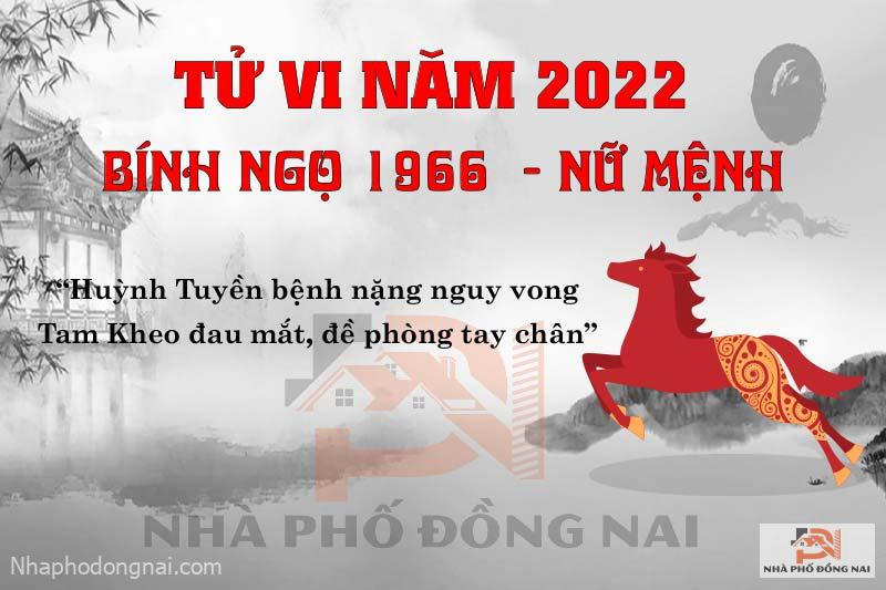 van-han-nam-2022-binh-ngo-1966-nu-mang
