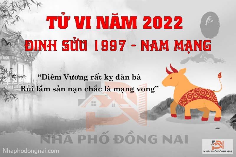 van-han-nam-2022-dinh-suu-1997-nam-mang