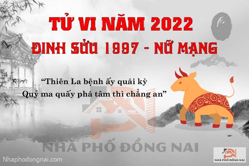 van-han-nam-2022-dinh-suu-1997-nu-mang