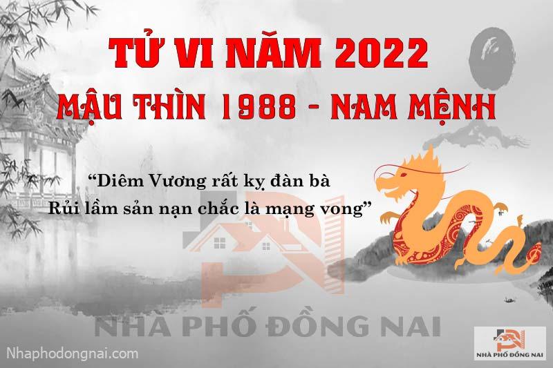 van-han-nam-2022-mau-thin-1988-nam-mang