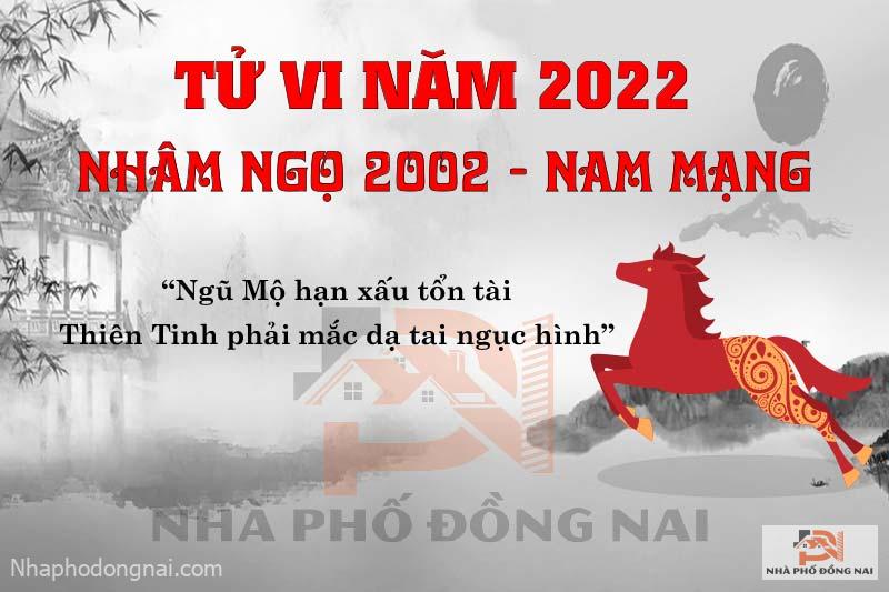 van-han-nam-2022-nham-ngo-2002-nam-mang