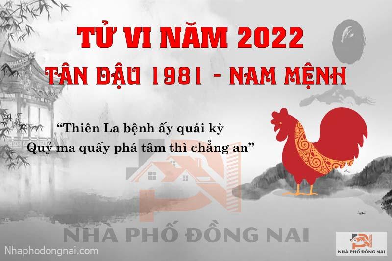 van-han-nam-2022-tan-dau-1981-nam-mang