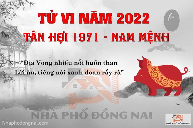 van-han-nam-2022-tan-hoi-1971-nam-mang