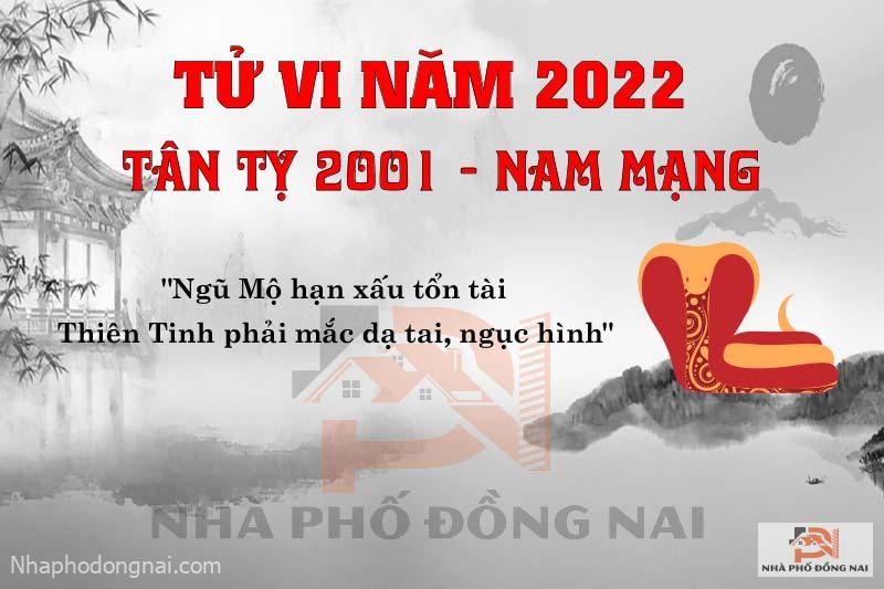 van-han-nam-2022-tan-ty-2001-nam-mang